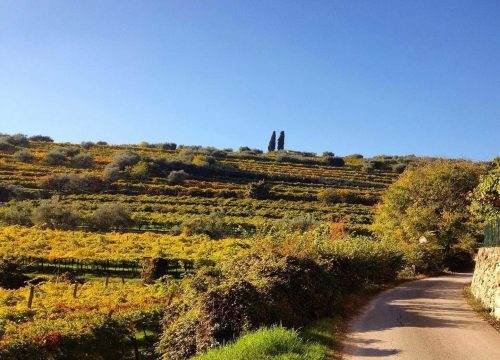 Percorsi itinerari e visite ai luoghi turistici