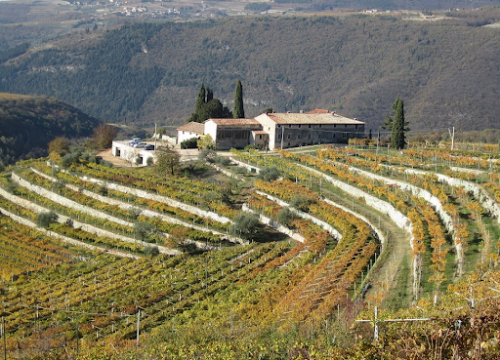 Tenuta Santa Maria Valverde