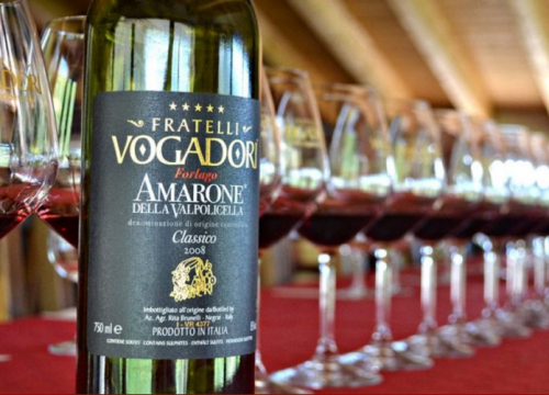 Vogadori Vini