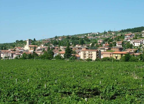 Negrar di Valpolicella