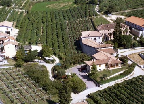 Azienda Agricola Vaona