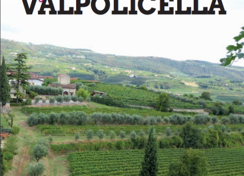 PRO-VALPOLICELLA N°1