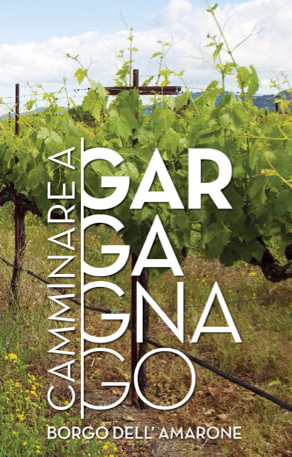 Camminare per Gargagnago (ITA)