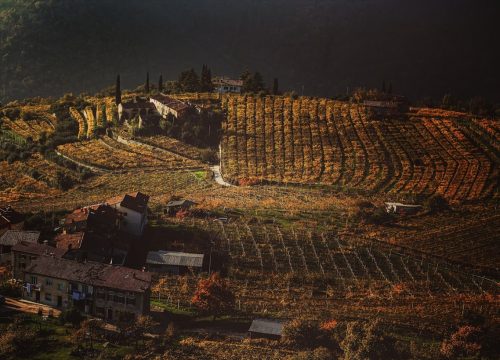 La Valpolicella