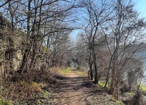 Lungo il fiume Adige a Pescantina